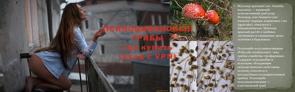 гидропоника Красноперекопск
