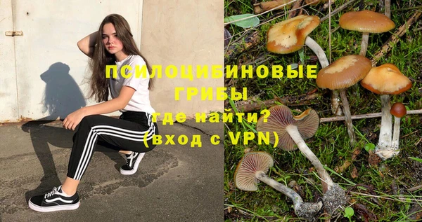 ALPHA PVP Краснослободск