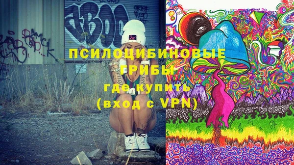 СК Калининец