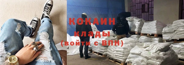 гидра Фёдоровский