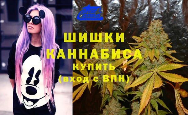 spice Баксан