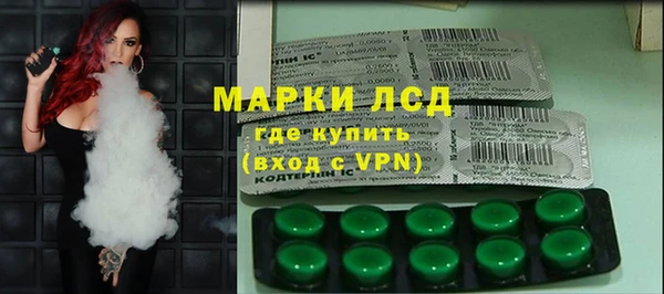 СК Калининец