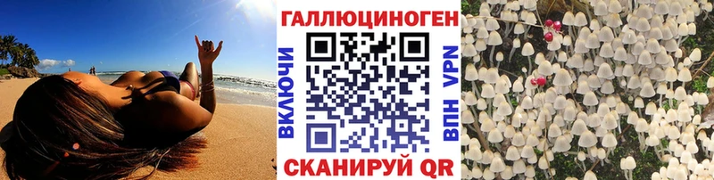 omg tor  Бобров  Псилоцибиновые грибы ЛСД 
